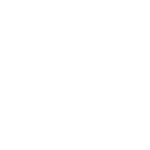 Bingo