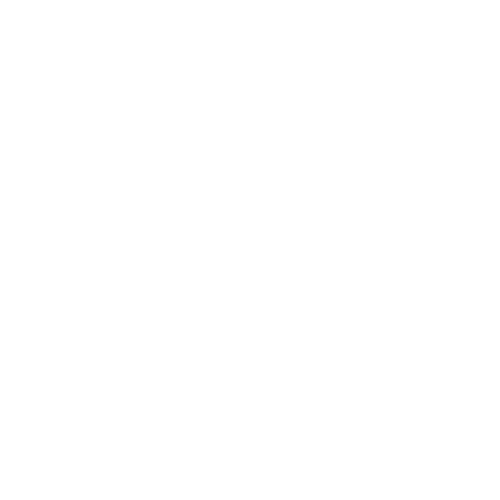 T1000